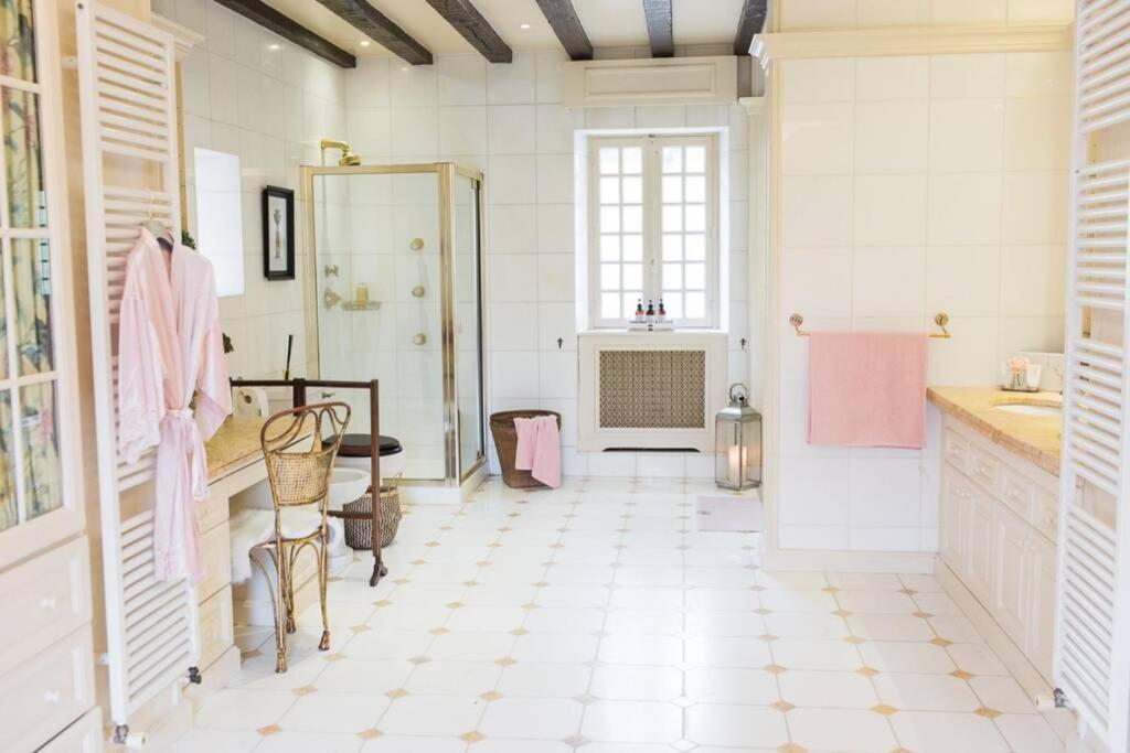 Chateau La Carriere Saint-Cyprien  Exteriér fotografie